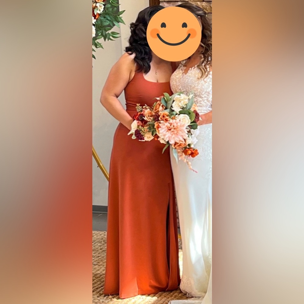 Birdy Grey ALEX Crepe Convertible Bridesmaid Dress - Terracotta Sz Small